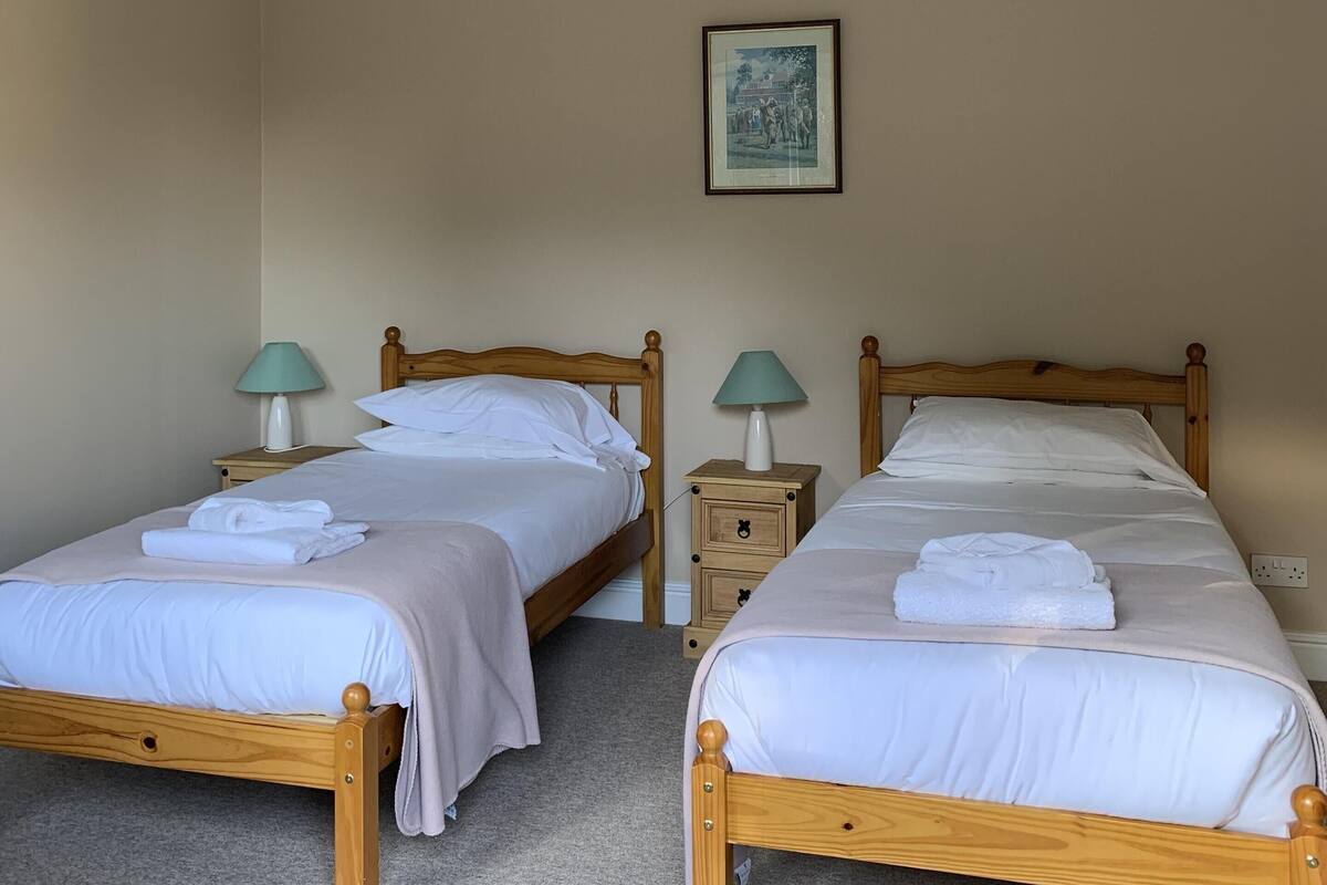 Une chambre avec deux lits en bois, chacun muni d’une table de chevet et d’une lampe. On y trouve également un luminaire au plafond et un tableau encadré accroché au mur.
