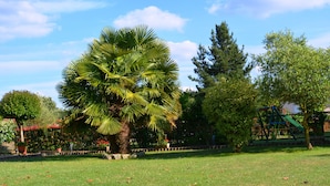 Un parc doté d’un grand palmier, d’une aire de jeux et de diverses autres espèces d’arbres et d’arbustes.