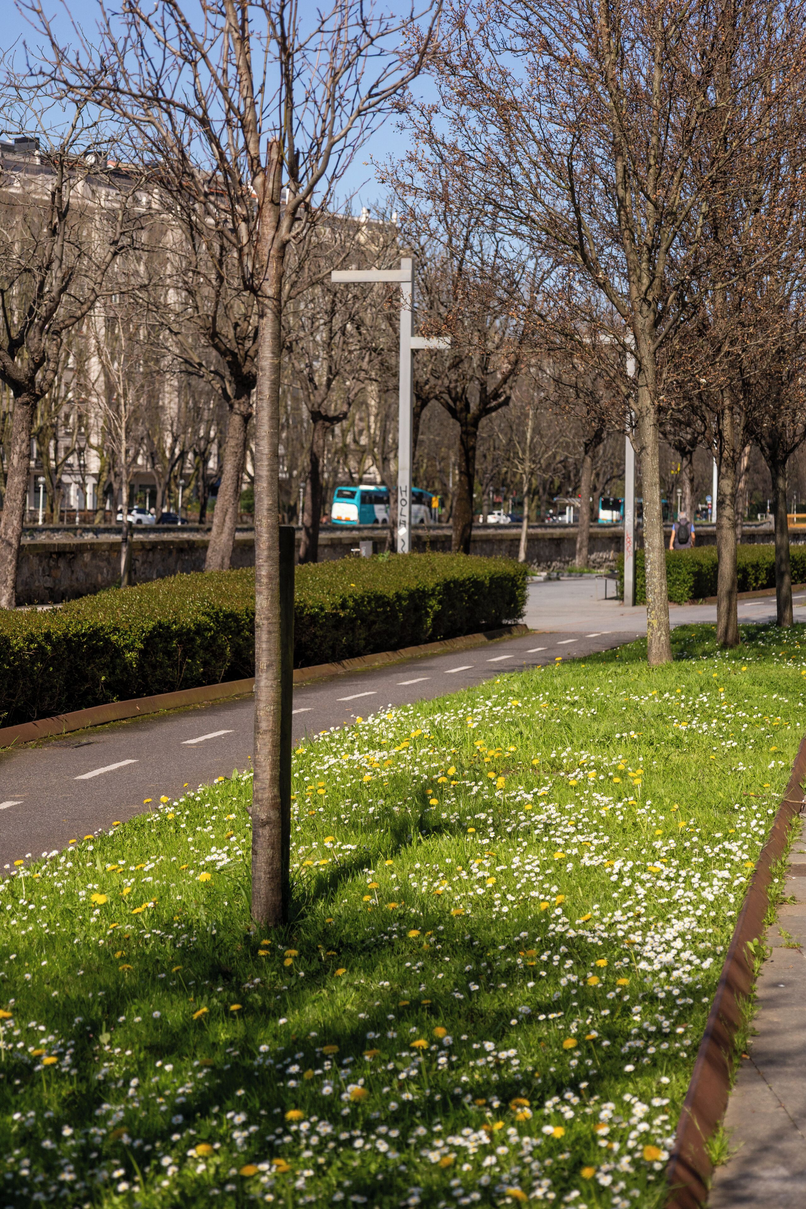 Foto - Colectia Hotel Urumea