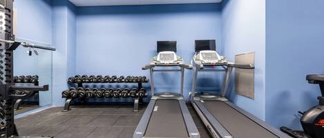 A gym with treadmills, dumbbells, and weight machines.