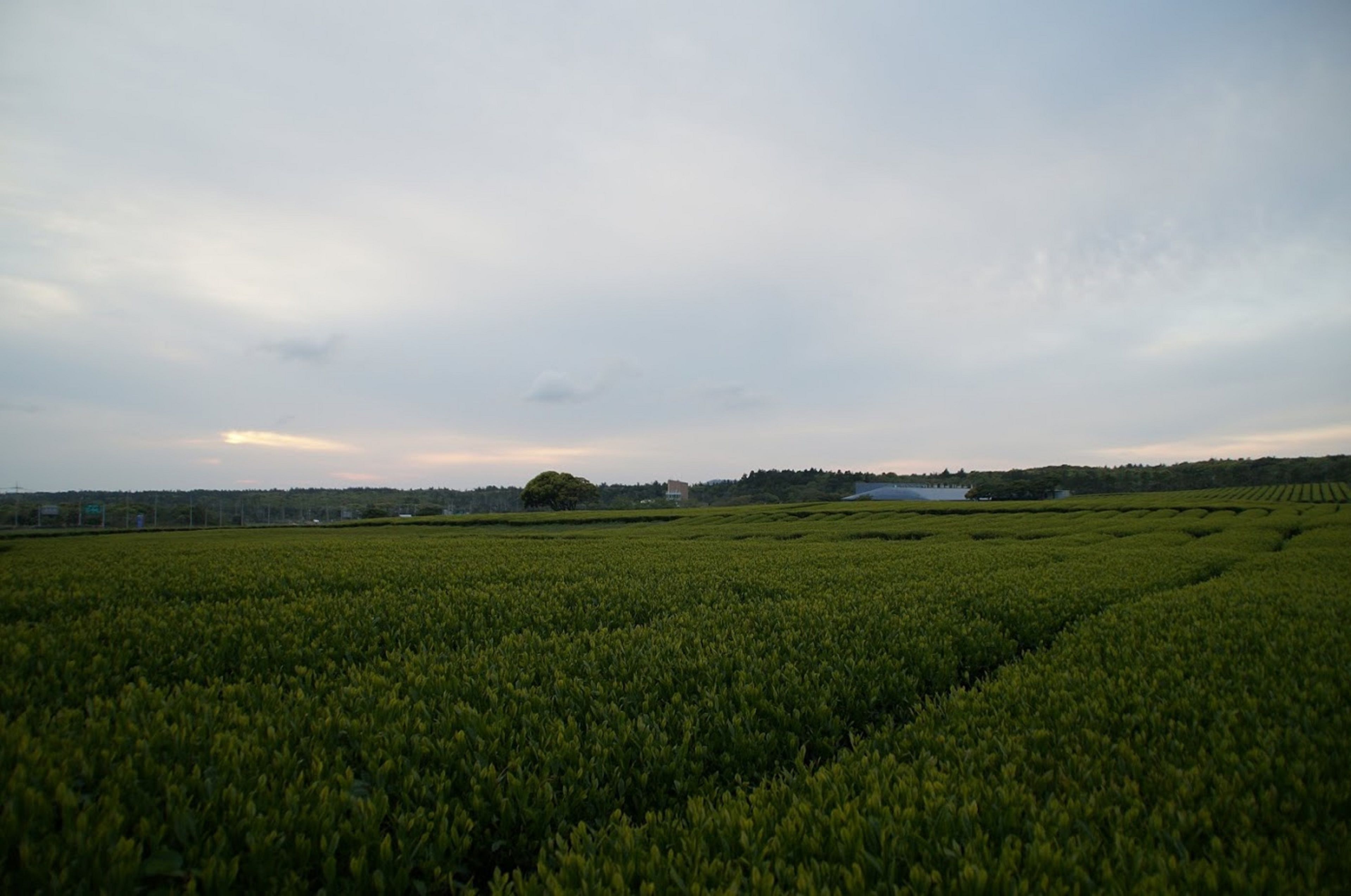 Photo - Jeju Aerospace Hotel