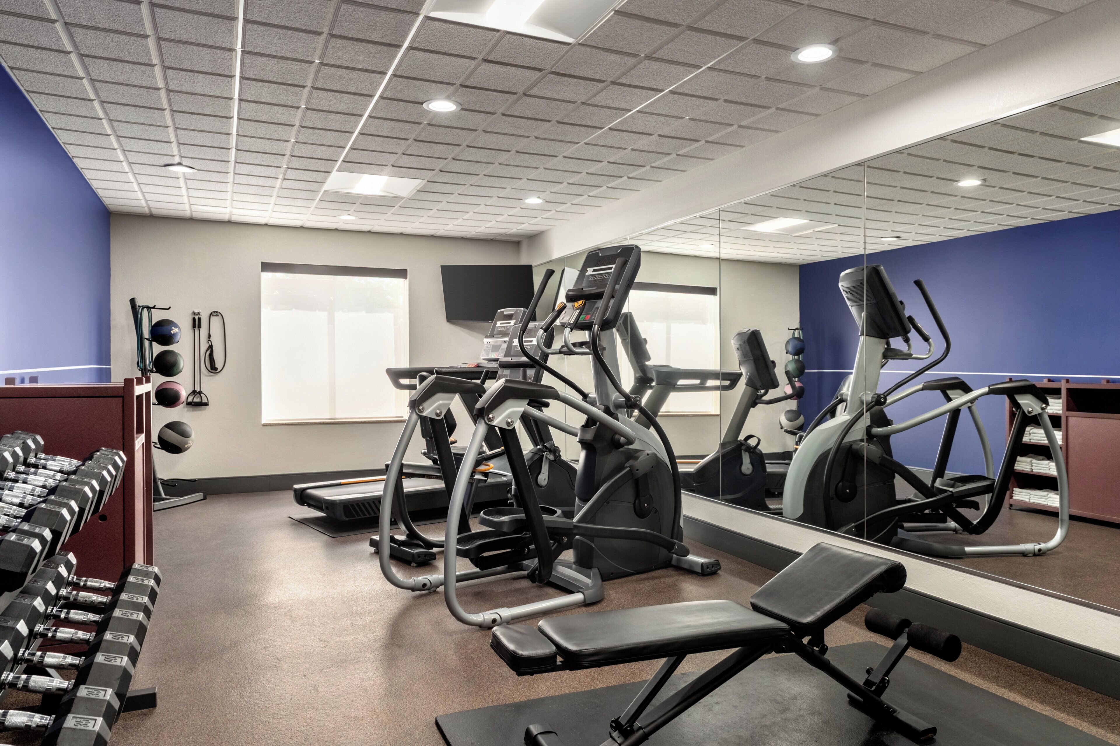A gym with various exercise equipment, including treadmills and weight machines, and a mirrored wall.