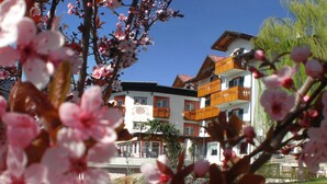 Un edificio de varios pisos con balcones, cielo despejado y árboles en flor al frente.