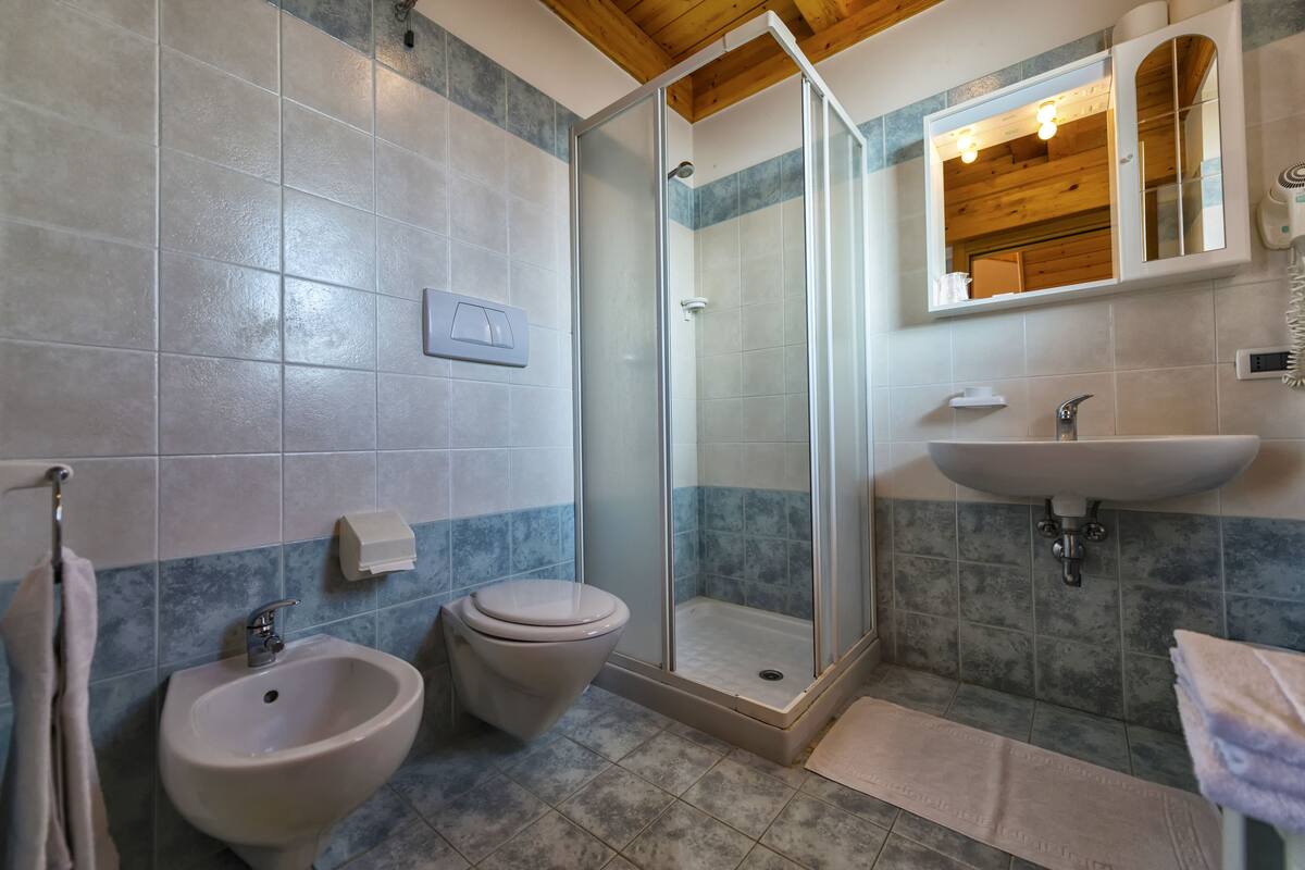 shower, free toiletries, hair dryer, bidet