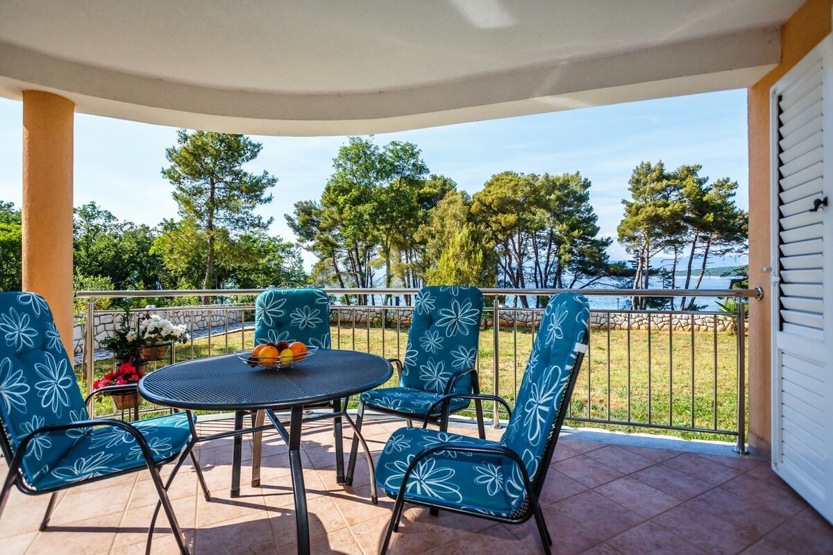 Teras/patio