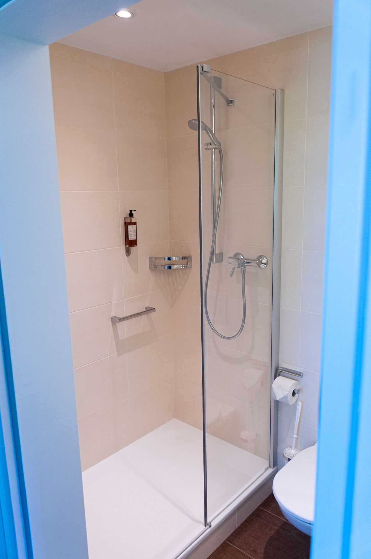 A glass-enclosed shower stall with a white toilet and a towel rack.