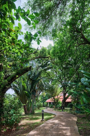 Vườn