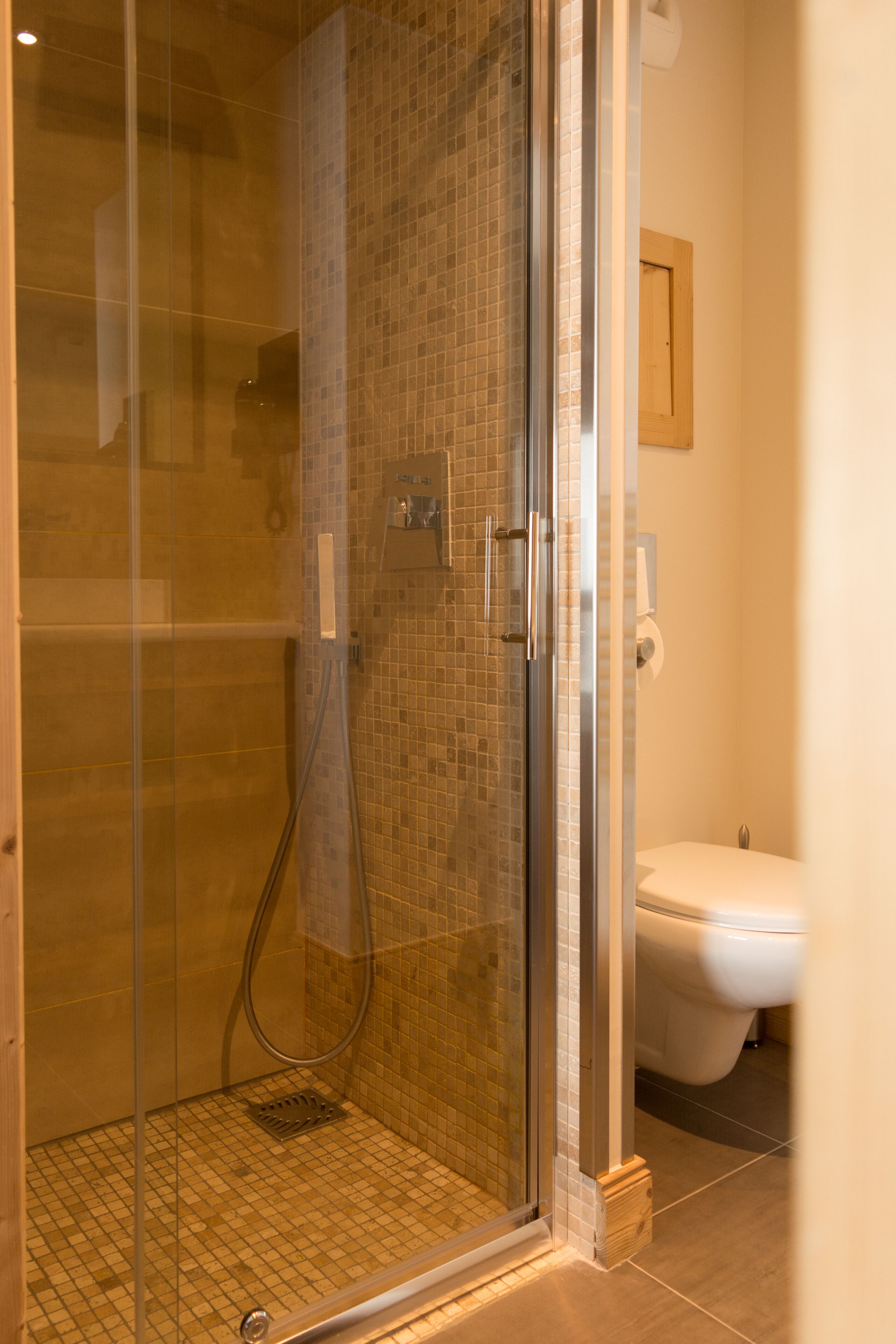Ducha con paredes de cristal, suelo de azulejos y un inodoro blanco visible en la habitación contigua.