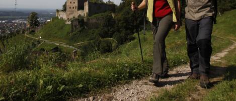 Un castillo en una colina con un camino que lleva hasta él.