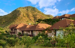 Exterior detail - The Ananta Udaipur (Udaipur)