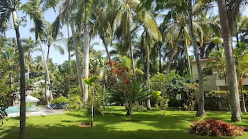 Vista desde la propiedad