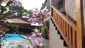 Outdoor pool, pool umbrellas, sun loungers