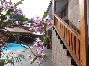 Outdoor pool, pool umbrellas, pool loungers - Tupa apart (Puerto Iguazú)