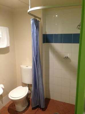 Shower, eco-friendly toiletries, hair dryer, towels