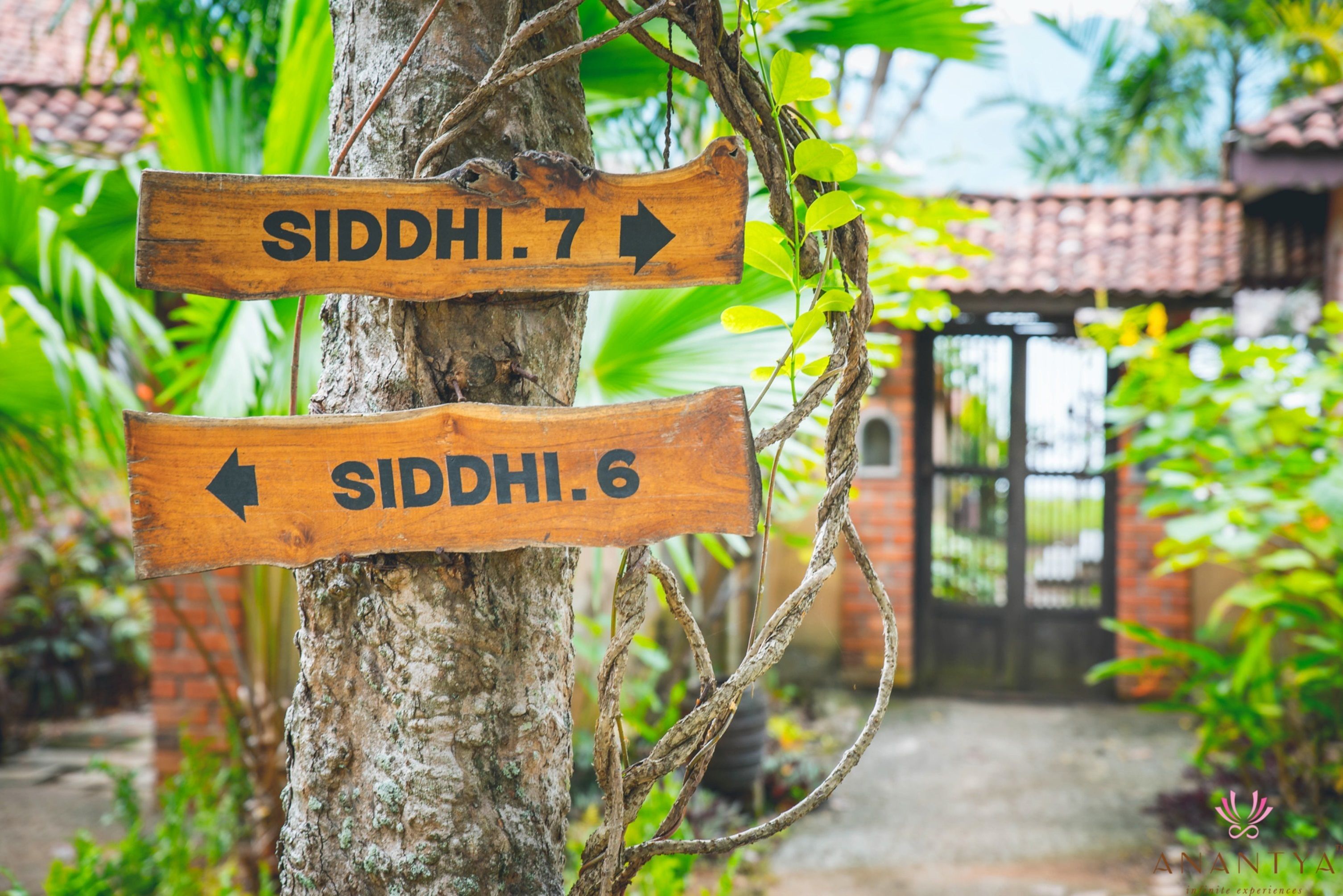 sidhi lake view villa	 | view from room