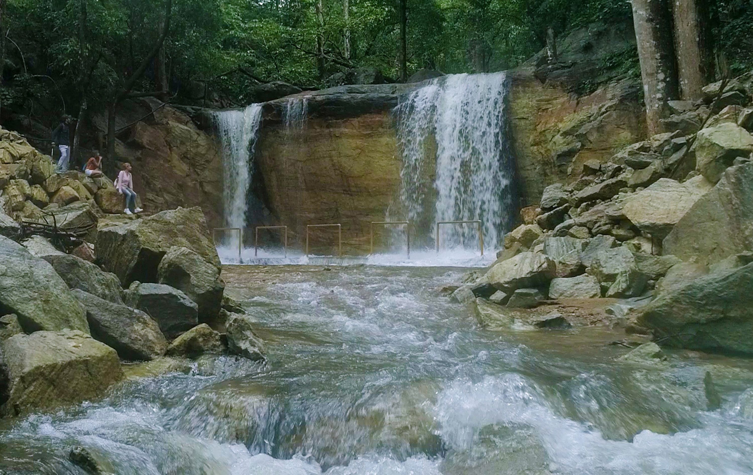 ayurvedic treatments