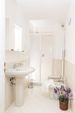 Studio | Bathroom | Shower, free toiletries, hair dryer, towels - La Rosa delle Dolomiti (Carisolo)