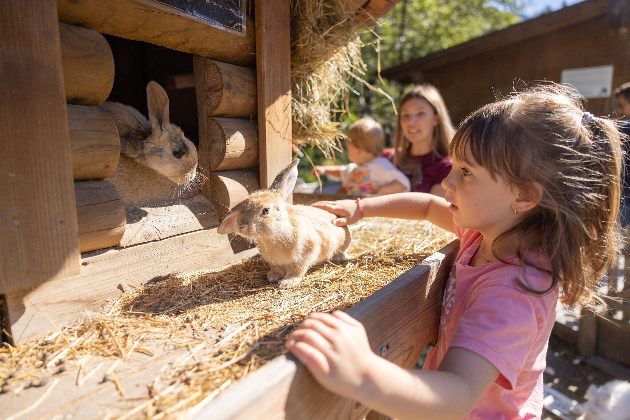 A wooden rabbit enclosure with hay and a rabbit inside.
