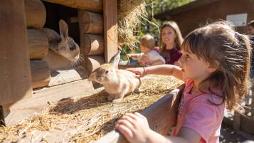 A wooden rabbit enclosure with hay and a rabbit inside.