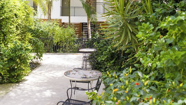 A courtyard with a table and chairs, surrounded by lush greenery and palm trees. - Alecos Hotel Apartments (Paphos)