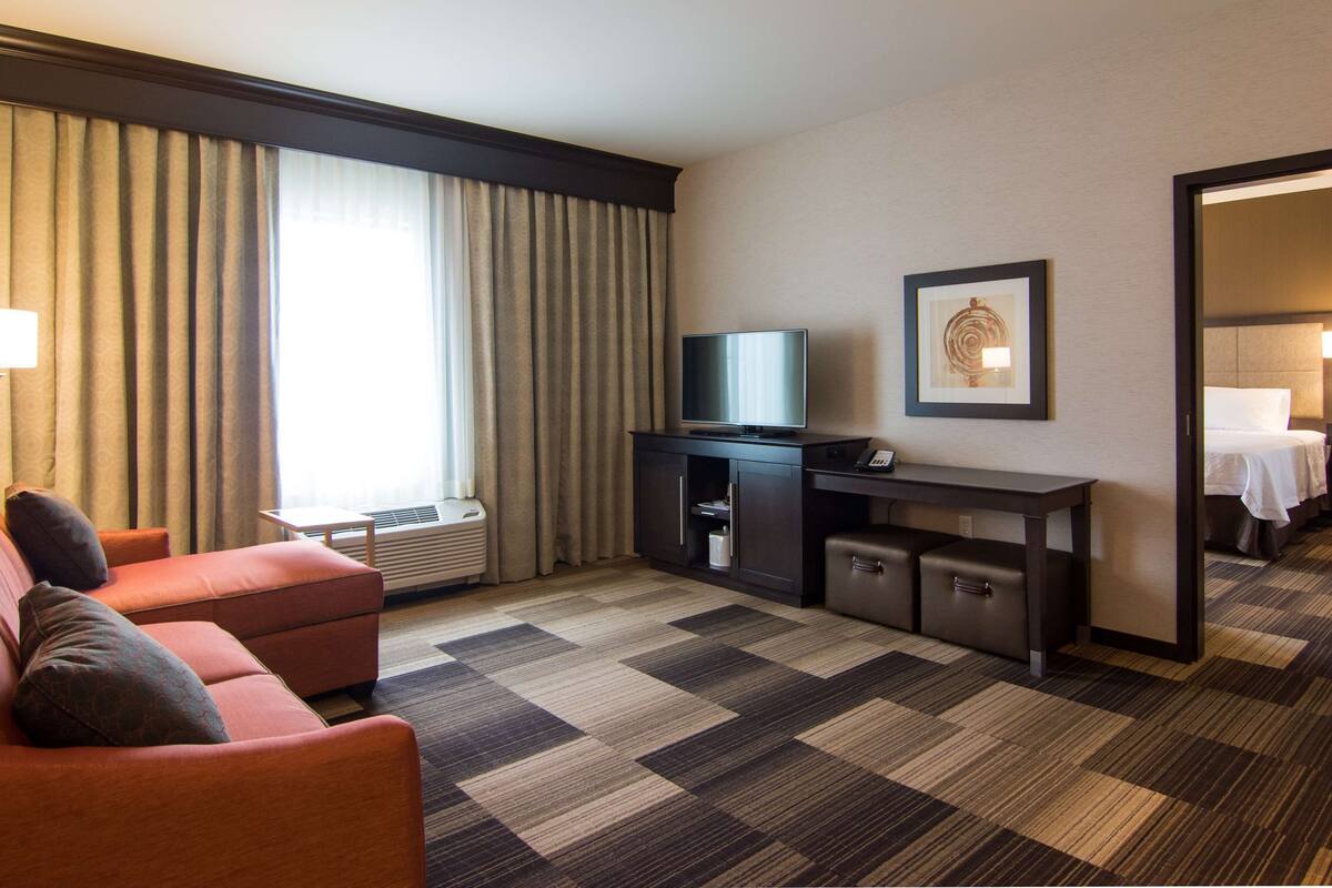 suite, 1 king bed, non smoking, jetted tub | living area | 42-inch lcd tv with cable channels, tv, pay films