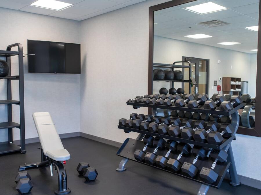 Un gimnasio con una banca, mancuernas y un espejo.