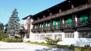 Exterior - Hotel Regina Delle Dolomiti (Panchia)