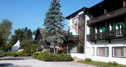 Hotel Regina Delle Dolomiti