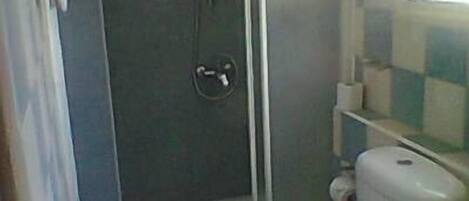 Une petite salle de bain avec des toilettes, une douche et un lavabo.