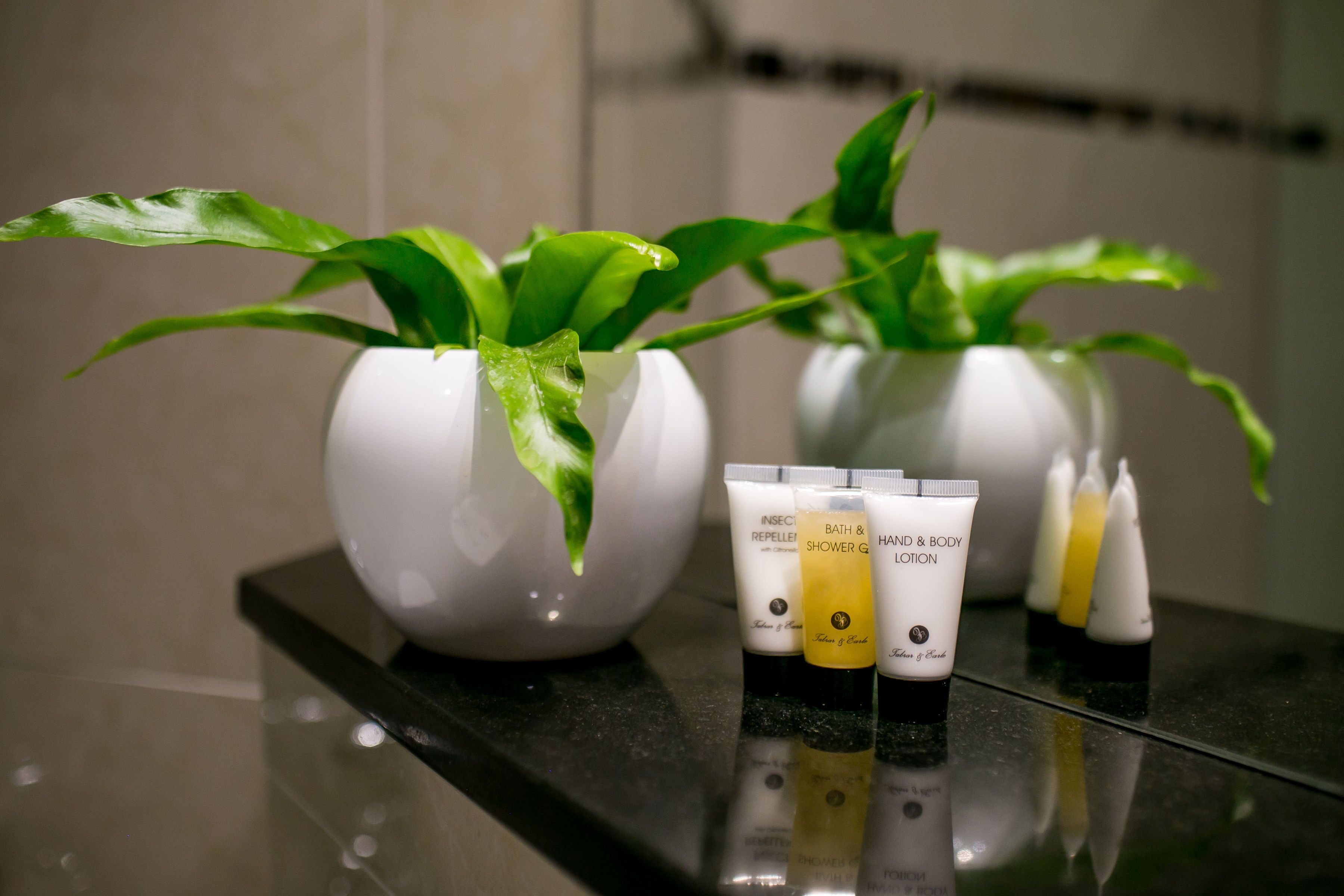 standard room | bathroom | free toiletries, hair dryer, towels