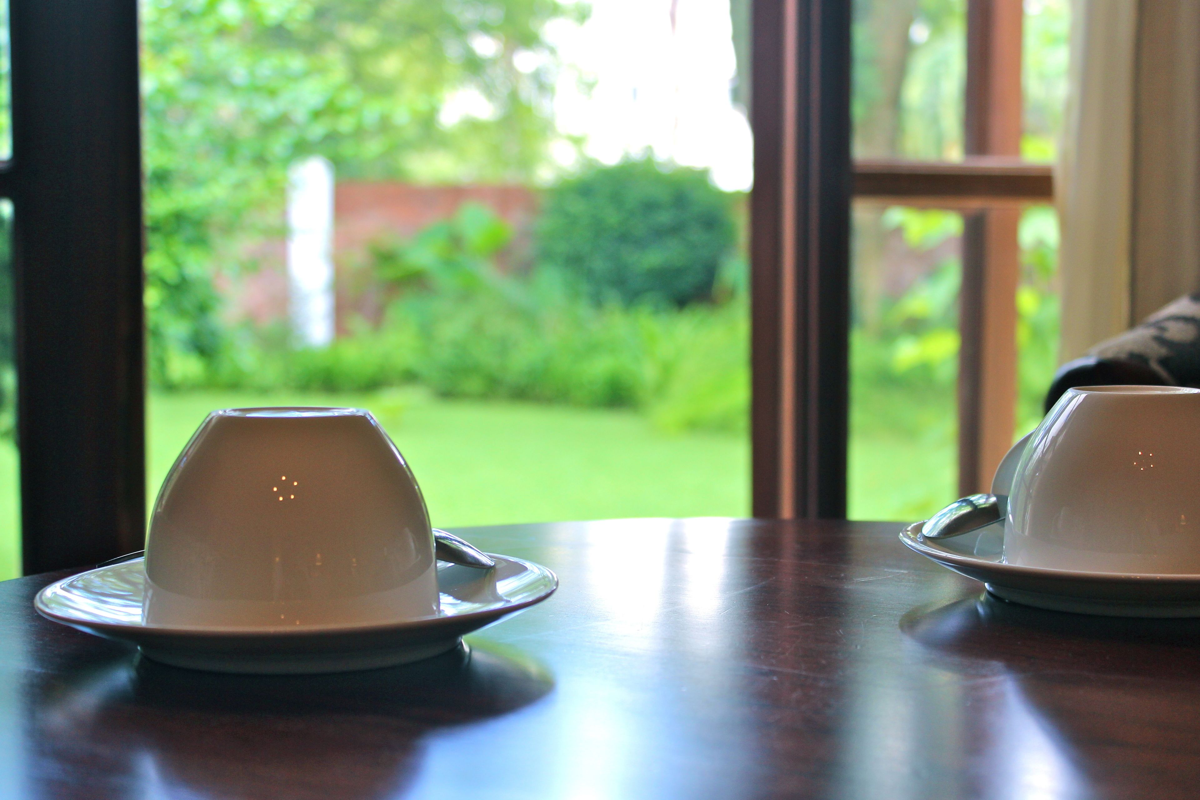 Deux tasses blanches, posées sur des soucoupes, sur une table en bois, avec vue sur un jardin verdoyant par la fenêtre.