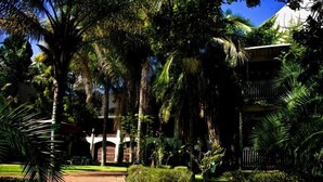 A pathway leading to a building surrounded by lush greenery and palm trees.