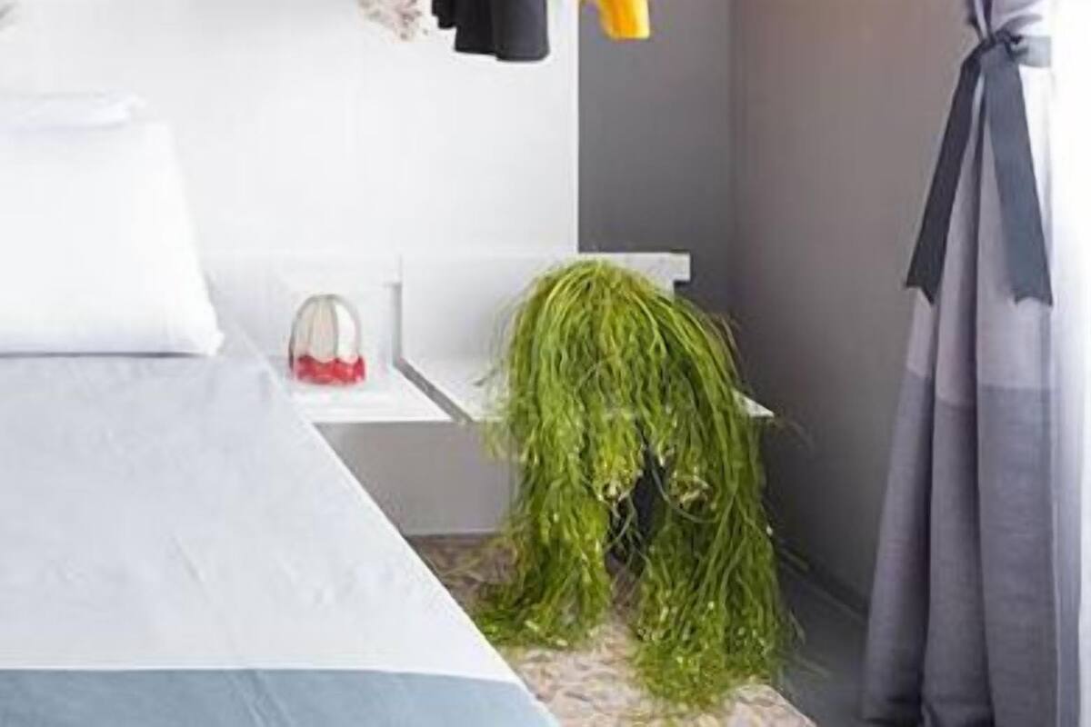 A neatly made bed with white bedding, a small bedside table with a vase of flowers, and a green plant on the right side.