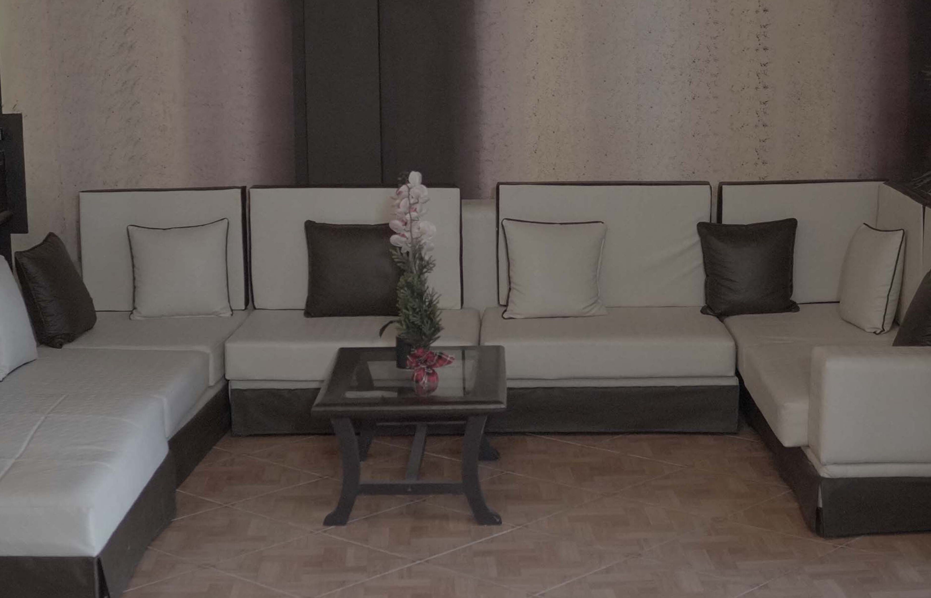 A modern living room with a sectional sofa, a glass coffee table, and a decorative plant.