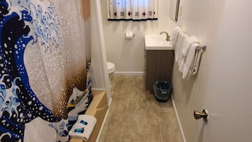 Combined shower/bathtub, hair dryer, towels