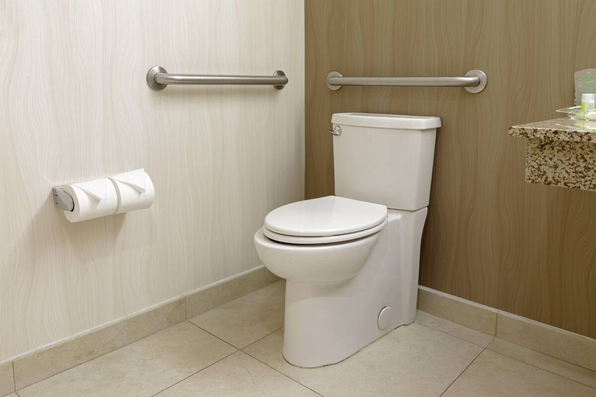 A modern bathroom with a toilet, handrails, and a toilet paper holder.