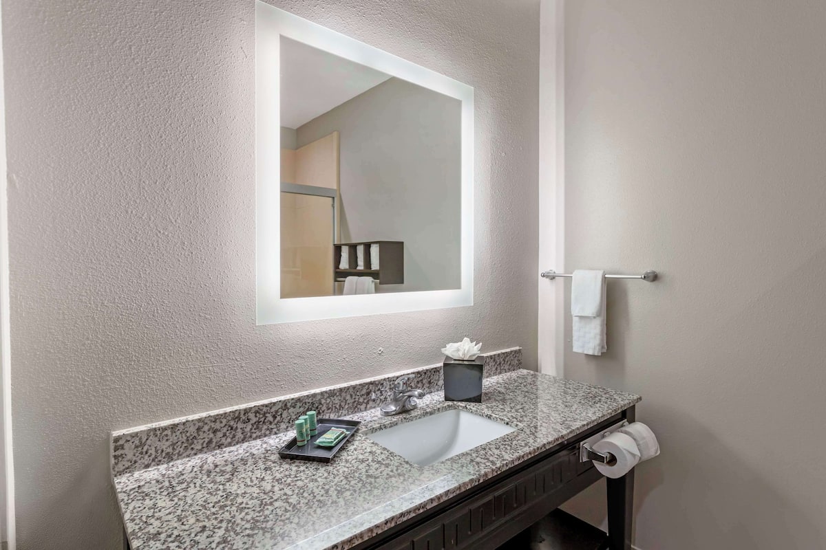 standard room, 1 king bed, non smoking, jetted tub | bathroom | combined shower/bathtub, free toiletries, hair dryer, towels