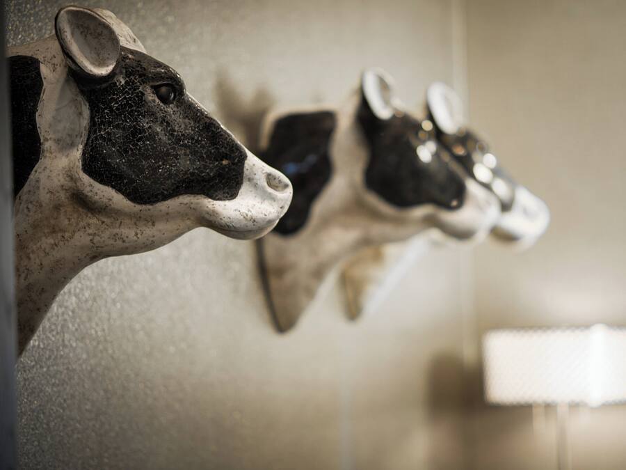 A wall-mounted cow head decoration.