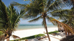 A beach with palm trees, white sand, and a clear blue sky. - Sahari Zanzibar (Bwejuu)