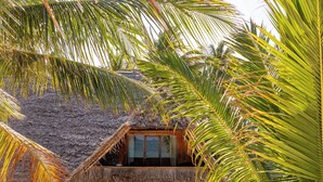 A thatched-roof hut with a glass window, surrounded by palm trees. - Sahari Zanzibar (Bwejuu)