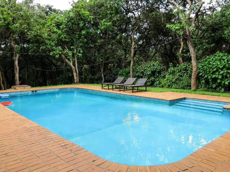 A rectangular swimming pool with a brick deck, surrounded by lush greenery and trees.