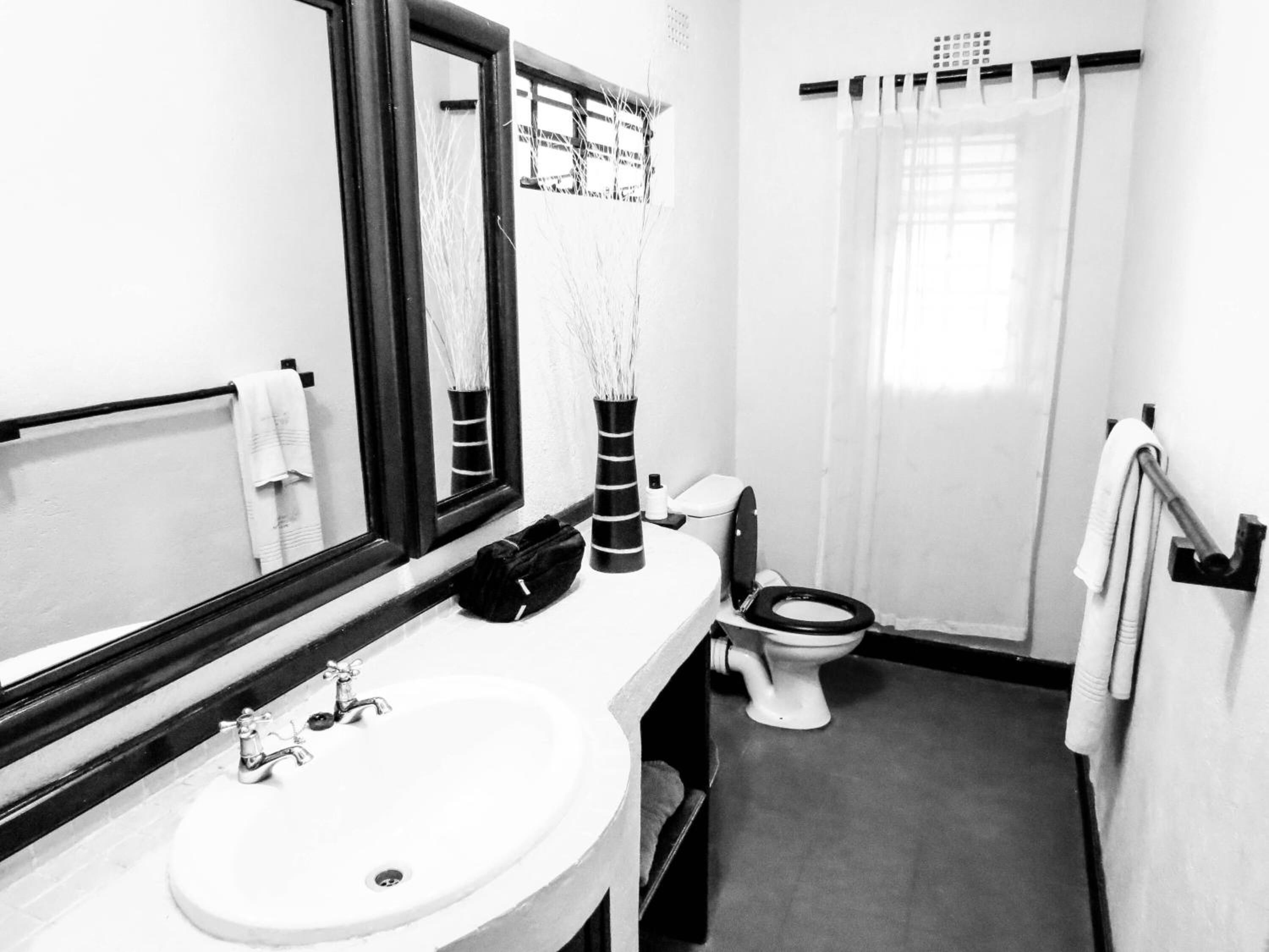 Een kleine, moderne badkamer met een wit wastafel, een grote spiegel, een toilet en een douchegordijn.