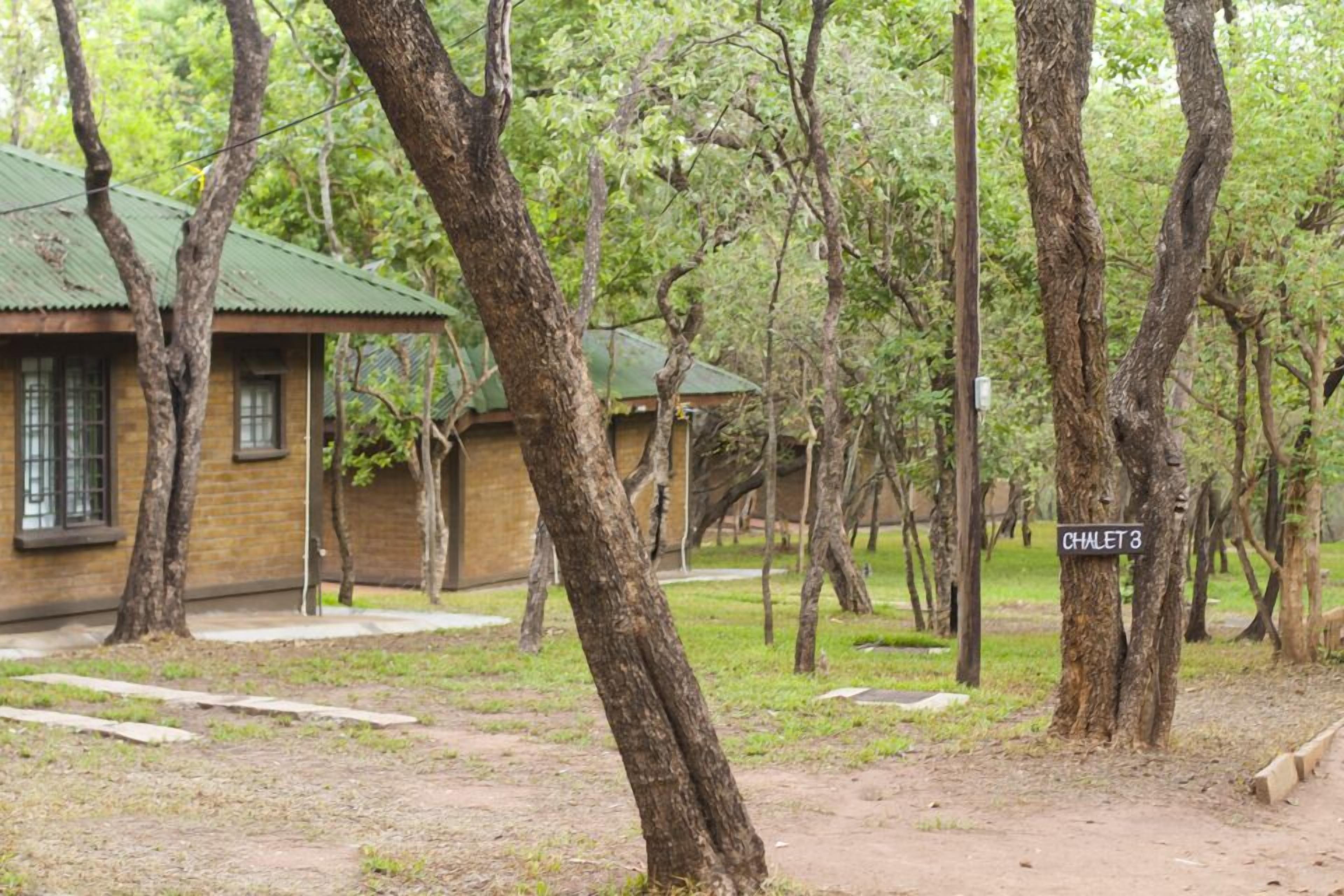 Un albergue rústico con varias cabañas de madera, rodeado de árboles frondosos y un sendero de tierra.