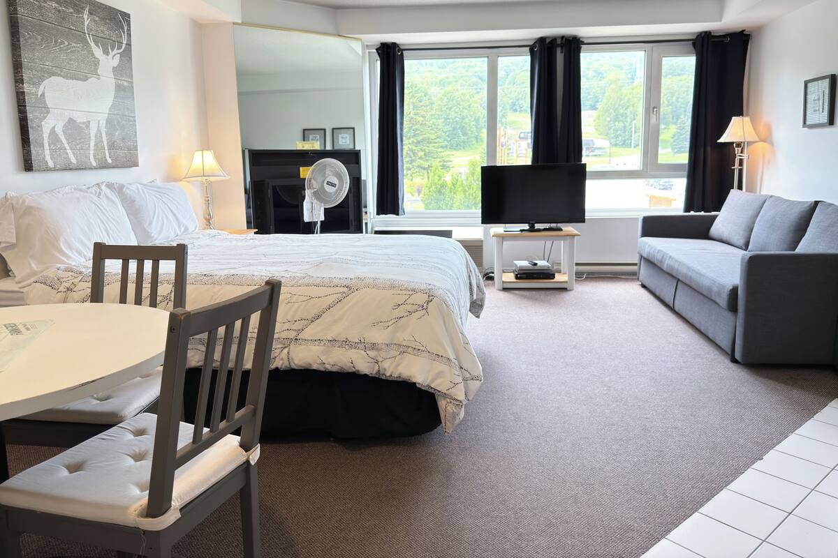 A hotel room with a bed, a desk, a chair, a sofa, a TV, a fan, and a window with a view of greenery.