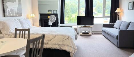 Habitación de hotel con cama, escritorio, silla, sofá, televisor, ventilador y ventana con vista a zonas verdes.