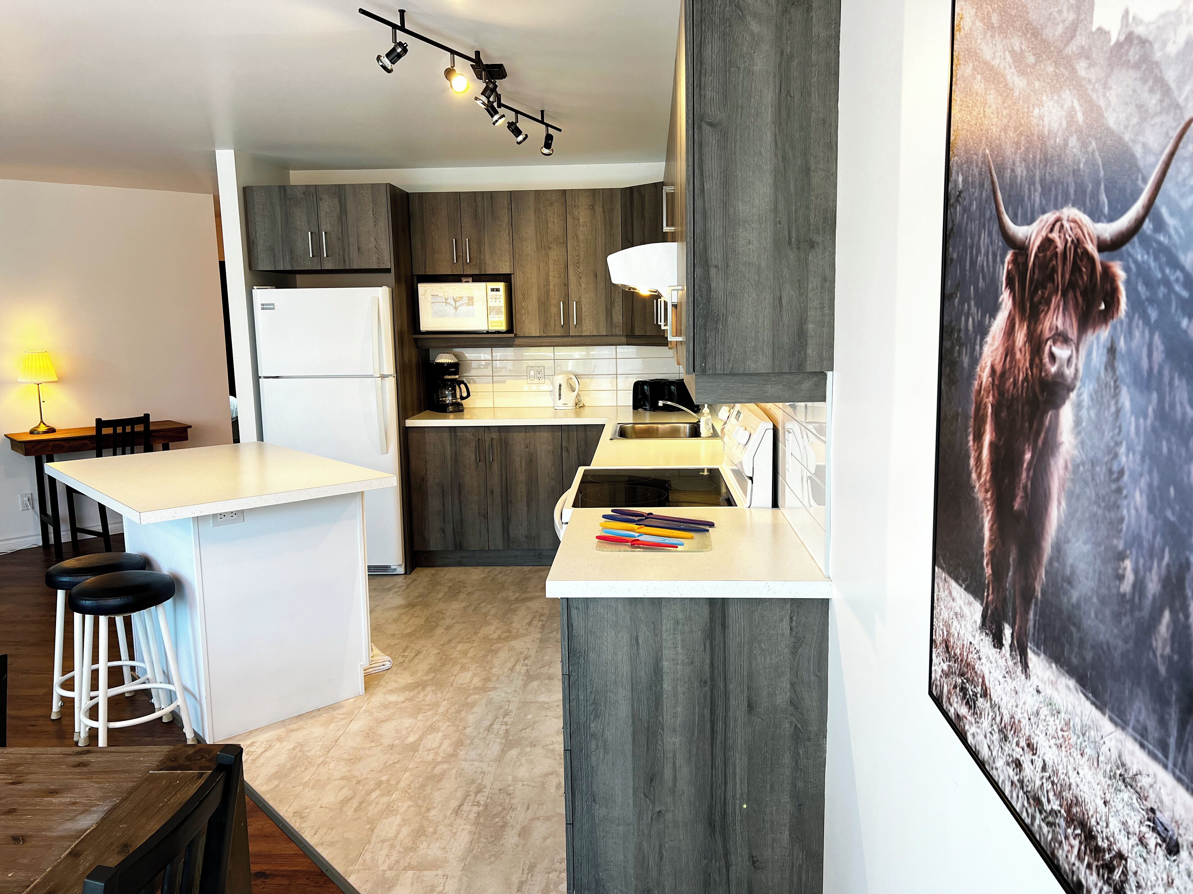 A modern kitchen with dark wood cabinets, a white countertop, and a large island. There is a painting of a mountain scene on the wall.