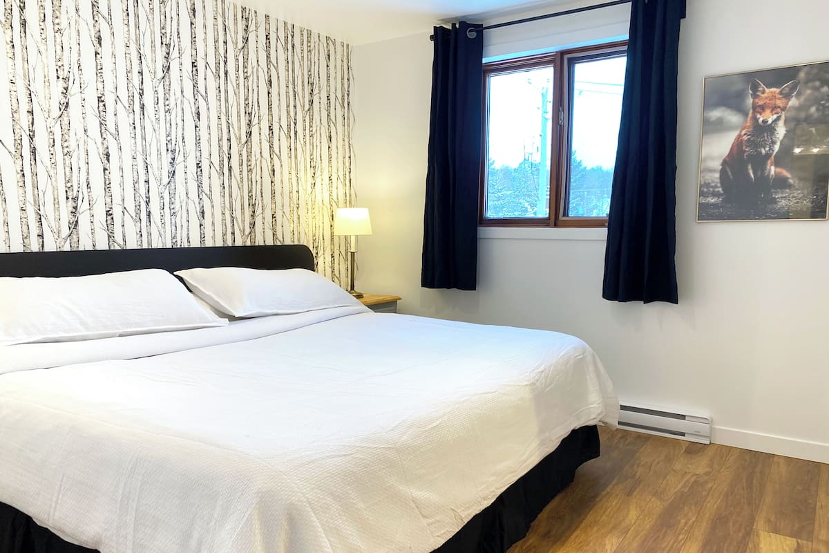 Condominiums 1 Chambre A/C | 5 habitaciones, decoración personalizada y muebles diferentes