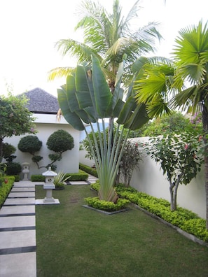 Vườn