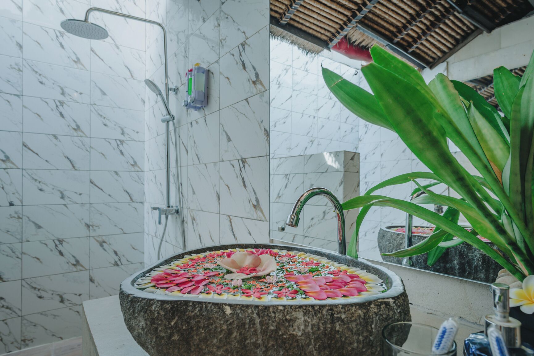 Foto - Frangipani Beach Hotel