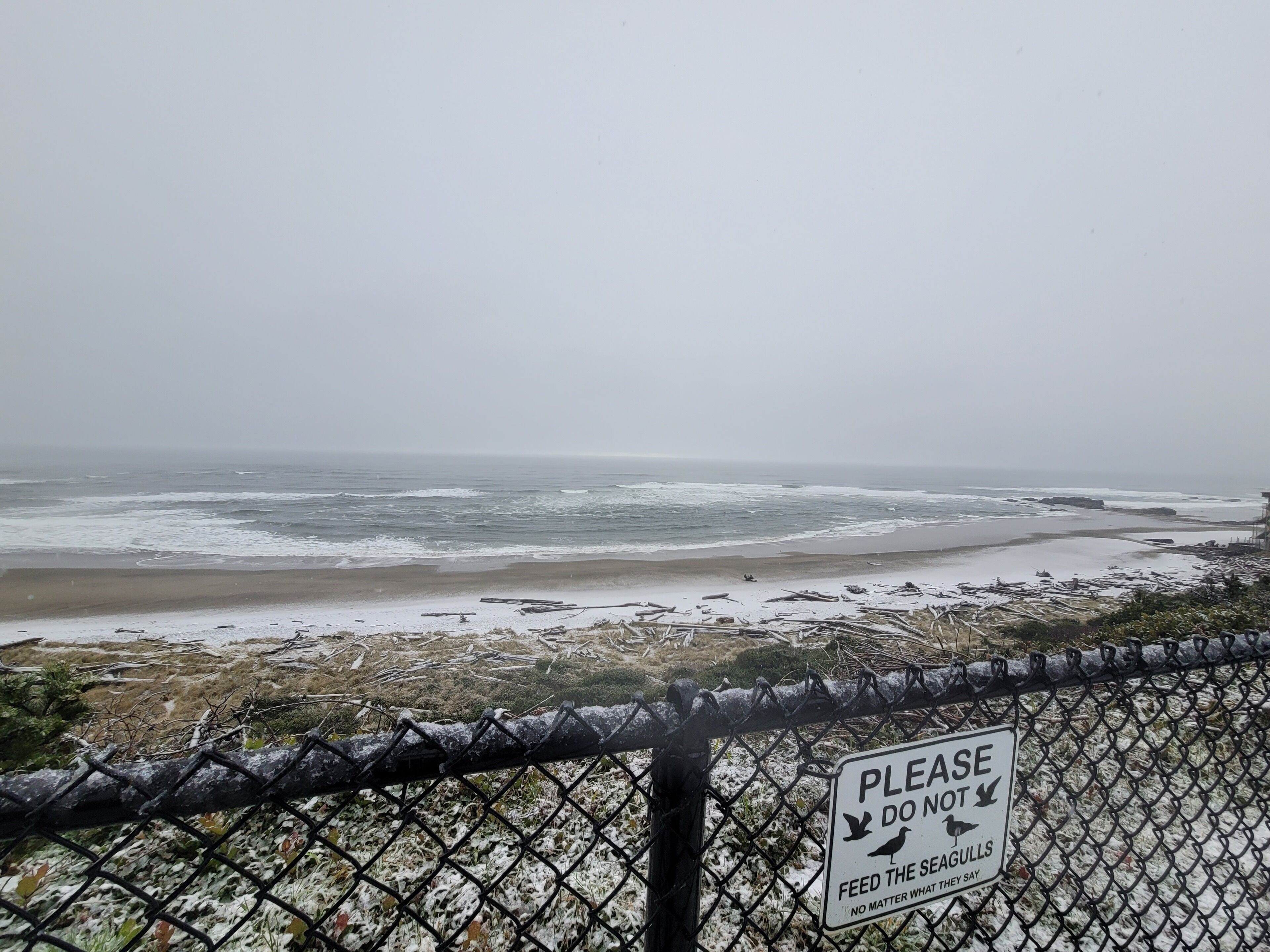 A beach view with a sign that reads "PLEASE DO NOT FEED THE SEAGULLS. NO MATTER WHAT THEY SAY."